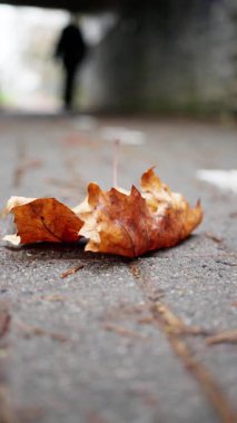 Tünelde siluetli yürüteçle ön plan yaprağı, bulanık figürlü anlatı şehir geçidi yaklaşıyor, rutubetli kaldırım detayları, sıcak sonbahar tonları ve iç gözlemsel geçen an