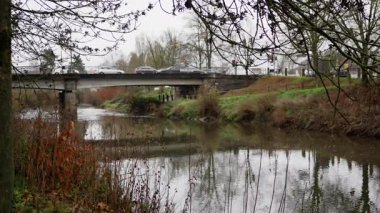 Sessiz arabalar ve yapraksız ağaçlarla kaplanmış, bulutlu gökyüzünün altında sürüklenen araçla sisli nehir kıyısı sahnesi, sakin bir banliyö sabahı yansıtıcı su ve aşırı dalları yakalıyor..