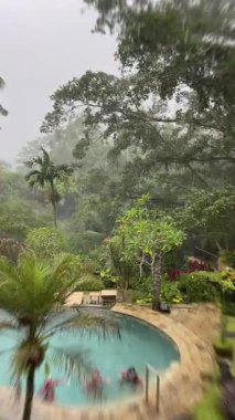 Palmiyelerle çevrili yağmurlu tropikal havuz, Yüzen otel misafirleri Bulanık Hareket, Bulanık Yağmur Ormanı Arkaplanı, Bulutlu Gökyüzü, Islak Taş Güverte, yemyeşil yeşillik, Serene Moody Atmosfer, Boş Tatil