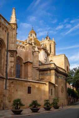 Ortaçağ Tarragona Katedrali, Katalonya, İspanya, UNESCO Dünya Mirası Şehri dikey görünümü