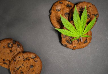 Kenevir yaprağı. Çikolatalı kurabiye. Marihuana yemeği. Tıbbi ot yenilebilir. CBD yağı. Boşluğu kopyala