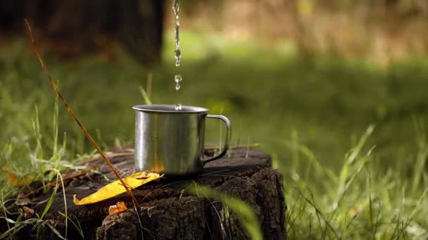 Verter Bebida Caliente Taza Acampar Bosque Camping Relajante — Vídeos de Stock