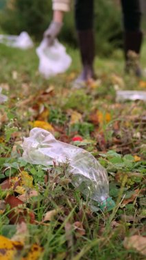 Parkta ya da ormanda plastik çöpleri toplamaya gönüllü ol. Dünya temizleme günü. Ekoloji koruması. 4k dikey video