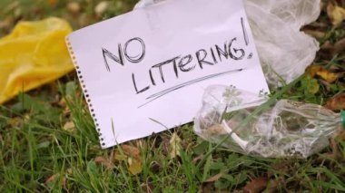 Parkta çöp izi yok. Plastik çöpten çayırı temizliyorum. 4K video. İklim değişikliği konsepti. Çevre koruma. Gezegenle ilgilenin. 