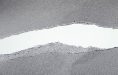 Yırtılmış kağıt. Beyaz arka plan oluşturun. Gri doku. Boşluğu kopyala