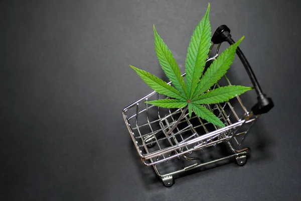 Alışveriş arabası afişinde kenevir yaprağı. Tıbbi ot. Hızlı marihuana teslimatı. Boşluğu kopyala. 