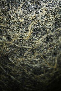 Toprakta kök dokusu var. Kapatın. Esrar içinde büyümek. Evde bahçıvanlık. Dikey 