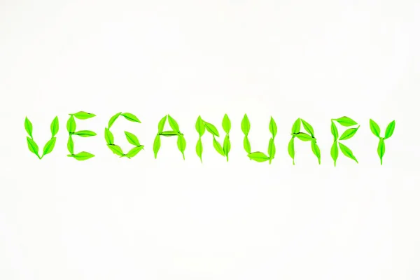 Bannière Veganuary Mois Régime Végétarien Feuilles Vertes Lettres Isolées Eco — Photo