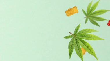 CBD 'li kenevir yaprağı jöle ayılar düşüyor. 4K video. Tıbbi marihuana tatlısı. Yenilebilir şeyler. Dikey video
