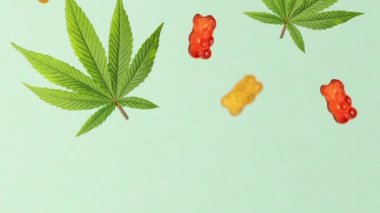 CBD 'li kenevir yaprağı jöle ayılar düşüyor. 4K video. Tıbbi marihuana tatlısı. Yenebilir TCH 