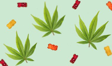 CBD 'li kenevir yaprağı, ayıcıklı jelibon deseni. THC jöleli şekerler. Marihuana yenilebilir pankart. Endişe tedavisi