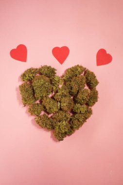 Kalp şeklinde kenevir tomurcukları. Pembe arka plan. Tıbbi marihuana tebrik kartı. Sevgililer Günü. Dikey yönelim 