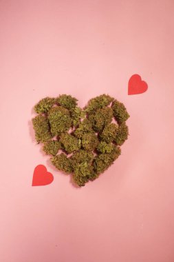 Kalp şeklinde kenevir tomurcukları. Pembe arka plan. Tıbbi marihuana tebrik kartı. Sevgililer Günü. Dikey yönelim 
