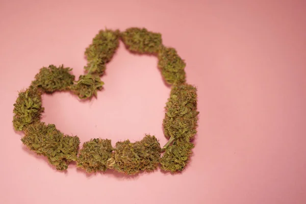 Brotes Cannabis Forma Corazón Fondo Rosa Tarjeta Felicitación Para Marihuana — Foto de Stock