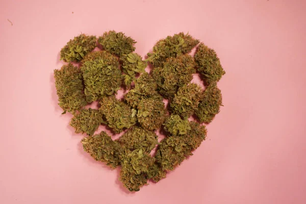 Kalp şeklinde kenevir tomurcukları. Pembe arka plan. Tıbbi marihuana tebrik kartı. Sevgililer Günü. Dikey yönelim 