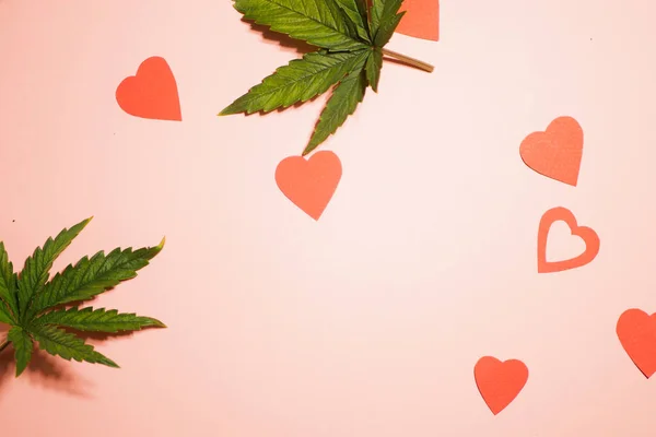 Cannabis Blad Med Papper Hjärtan Platt Låg Alla Hjärtans Dag — Stockfoto