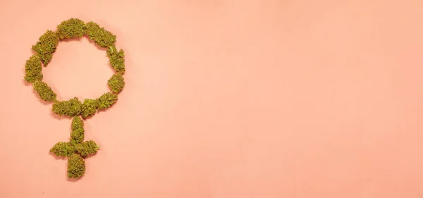 Esrar tomurcuklarından yapılmış kadın işareti. Kadınlar Günü marihuana afişi. Boşluğu kopyala
