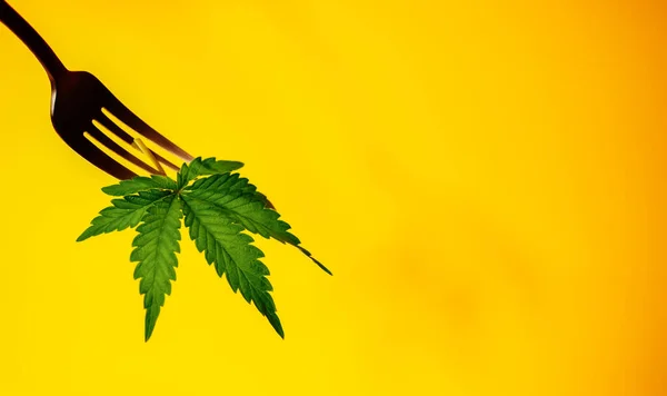 Cannabisblad Vorkspandoek Marihuana Eetwaren Koken Cbd Olie Voedsel Kopieerruimte — Stockfoto