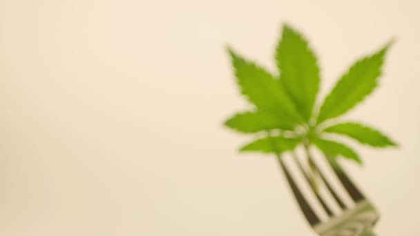 Cannabis Daun Pada Spanduk Garpu Memasak Edibles Ganja Cbd Makanan — Stok Video