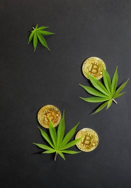 Şifreli paralarla kenevir yaprağı. Esrar borsası. 