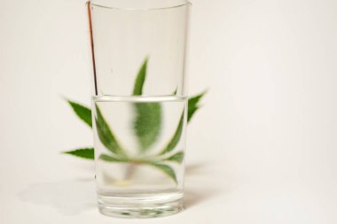 Bir bardak suda kenevir yaprağı. Optik yanılsama. Kırılma etkisi. 