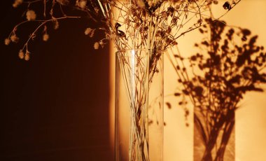 Kurutulmuş çiçek buketi. Evde günbatımı gölgesi. Yaban çiçekleri dekorasyonu 