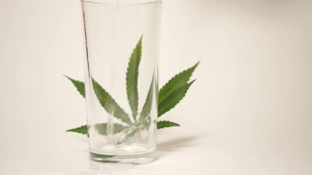 Foglia Cannabis Attraverso Bicchiere Acqua Illusione Ottica Effetto Rifrazione — Video Stock