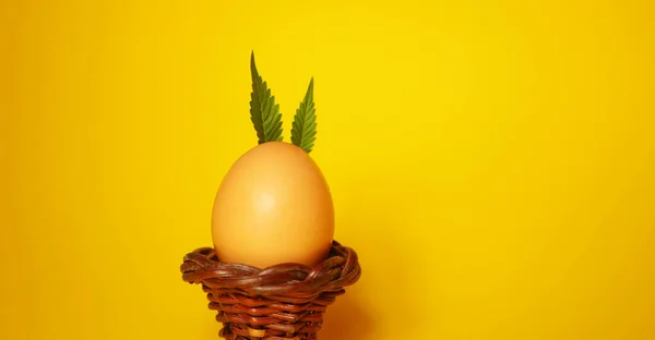 Kenevir yapraklarından yapılmış tavşan. Paskalya yumurtası. Sarı arkaplan. 