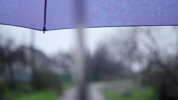 从观点出发 在雨伞下散步外面早春雨天 — 图库视频影像