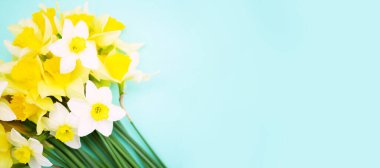 Narcissus buket düz pankart. Anneler günü tebrik kartı. Uzayı kopyala Bahar çiçekleri