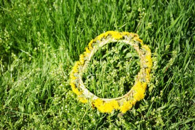 Sarı karahindiba çelengi yeşil çimlerin üzerine serilmişti. Bahar mevsimi 