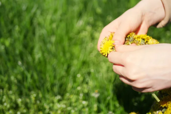 Göra Maskros Krans Firar Våren Handgjord Blomma Krona Vildblommor Dekoration — Stockfoto