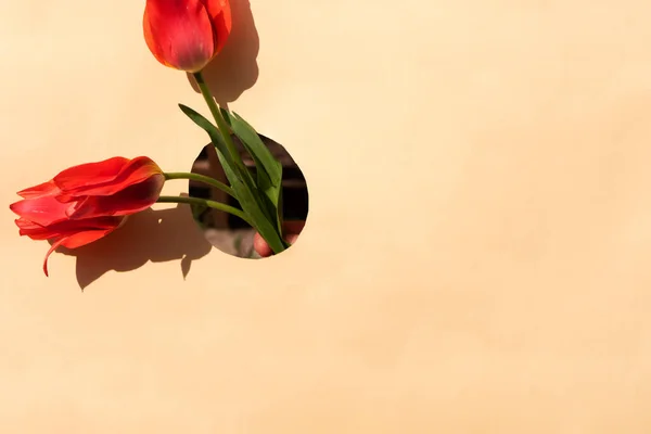 Ramo Tulipanes Rosados Agujero Banner Flores Primavera Tarjeta Postal Del — Foto de Stock