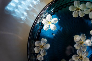 Su yüzeyinde yüzen kiraz çiçekleri. Işık yansıması 