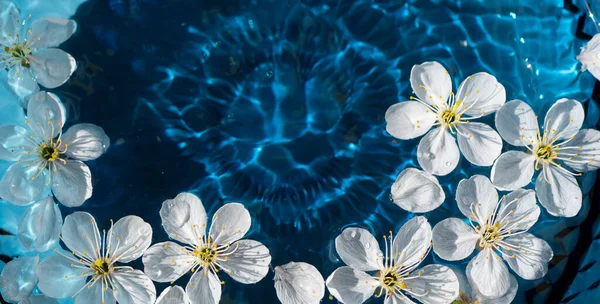 水面に浮かぶ桜の絶景 光の反射 — ストック写真