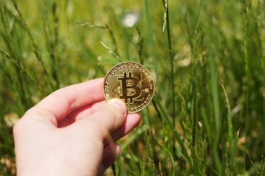 El ele tutuşan bitcoin. Yeşil çimen arka planı. Çevre dostu kripto para birimi. Sanal para ekolojisi etkisi 