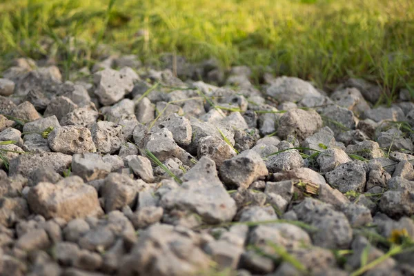 Rocky Path Park Close Road Grass Outdoor — Stock Photo, Image