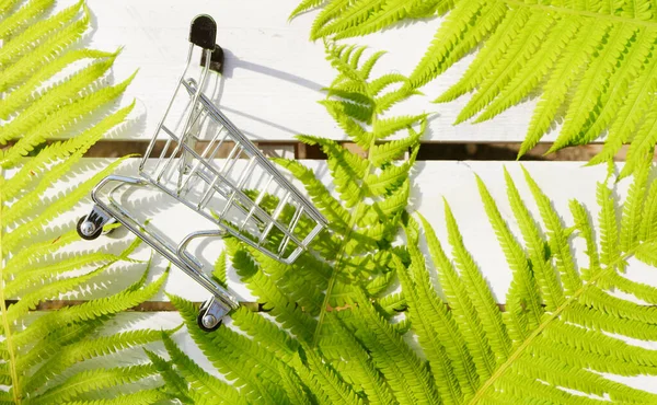 Alışveriş Arabası Eğrelti Otu Yapraklarının Üzerinde Yatıyordu Yaz Satışı Arkaplanı — Stok fotoğraf