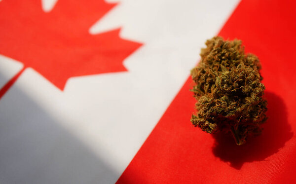 Cannabis bud lay on Canadian flag. Marijuana legalization concept.