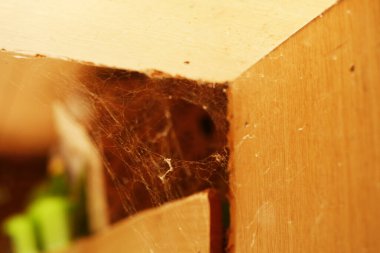 Odanın köşesindeki örümcek ağı. Evde böcek var. 