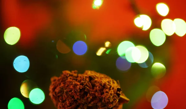 Kenevir Tomurcuğunu Kapat Bulanık Karışık Işık Arka Planı Marijuana Noel — Stok fotoğraf