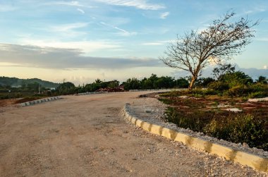 Güneşin doğuşu beyaz mermer yolda, virajlı duvarda ve lebbeck ağacının yapraksız dallarında parlıyor..