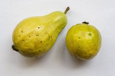 Beyaz arka planda iki sarı olgun guajava var, biri yuvarlak diğeri armut şeklinde ve bir kökü var..
