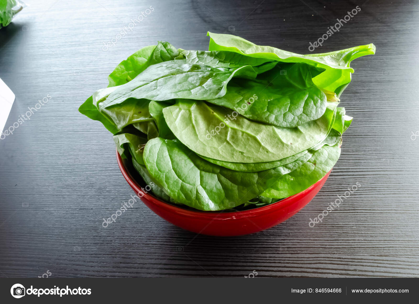 SAFLAX - Garden in the Bag - Orgánico - Acedera francesa - 400 semillas -  Con sustrato en una bolsa de pie adecuada - Rumex acetosa Compra barata en  Joom, image size:1600x1160