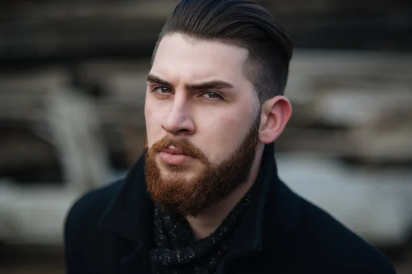 Sakallı bir adamın portresi.
