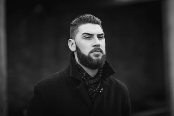 Sakallı bir adamın portresi.