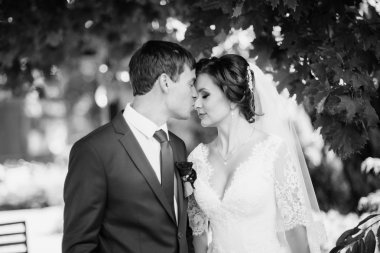 Güzel yaz doğa yürüyüşüne düğün