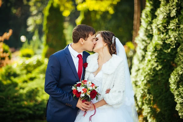 Schöne Sommerhochzeitswanderung in der Natur — Stockfoto