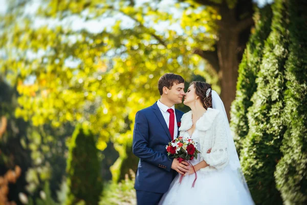 Belo verão Caminhada de casamento na natureza — Fotografia de Stock