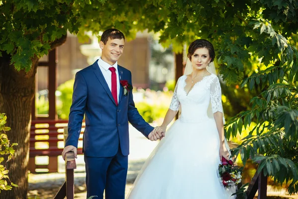 Belo verão Caminhada de casamento na natureza — Fotografia de Stock